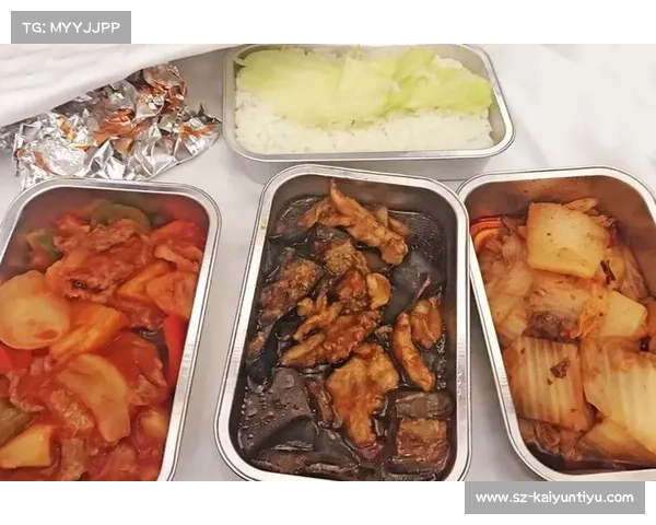 加拿大NSL推出家庭月票套餐 包含儿童餐食体验新选择 加拿大NSL推出家庭月票套餐 包含儿童餐食体验新选择